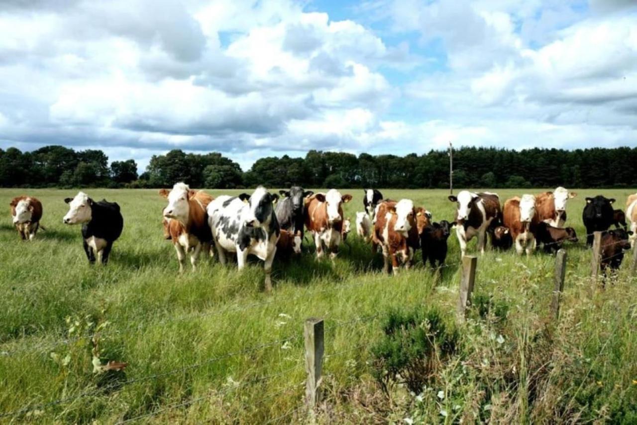 Lower Bruntlands Fochabers Exterior foto